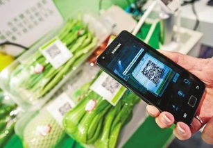 食品信息追溯系統(tǒng) 構(gòu)建透明供應(yīng)鏈，賦能消費(fèi)選擇